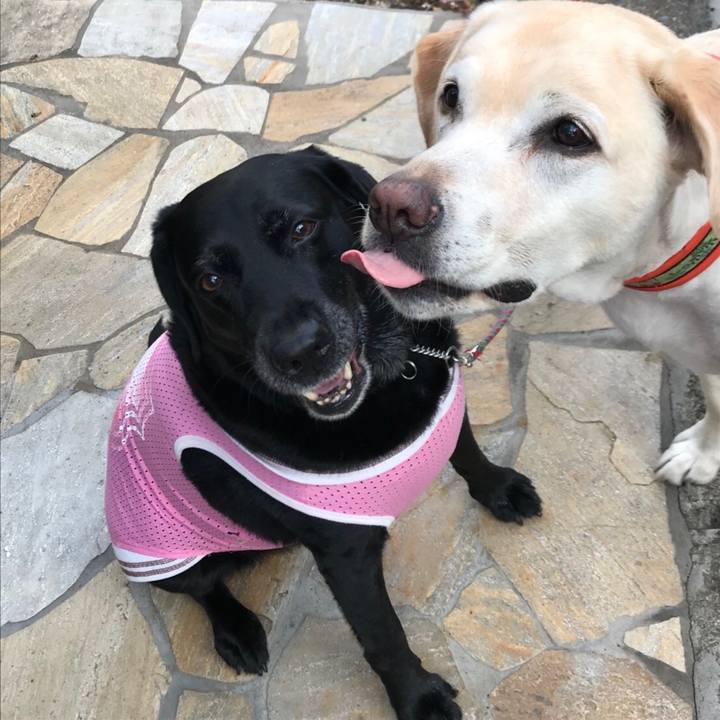 216526f4 befc 47e3 9517 c0b000f28515 1526170696144