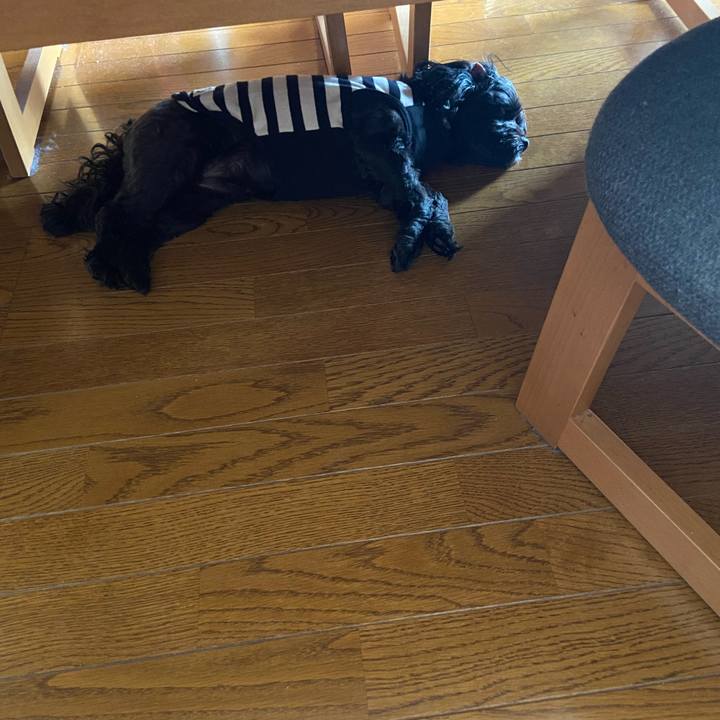 21652f73 3438 44a0 b531 e523b0789c6c 1635416871489