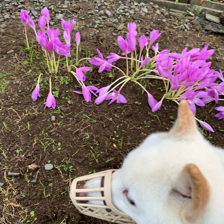 2165576d e4dd 4a59 bfbb d075be635144 1601933257695