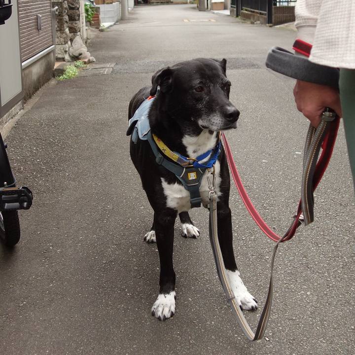 216585c5 ca67 4255 bfeb 0b95b76fd6bb 1746748621802