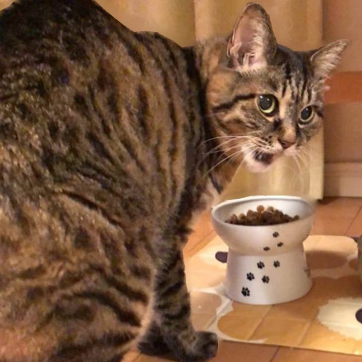 21658d75 44dc 4143 9f41 ce574452aa9e 1760451209814