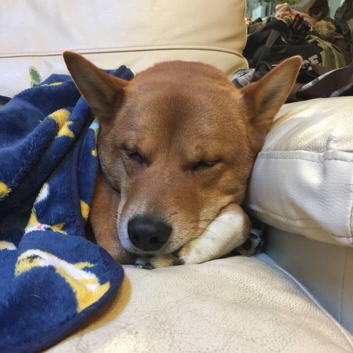 21659720 8eea 4f80 8401 ca2e88001ea7 1515335817059