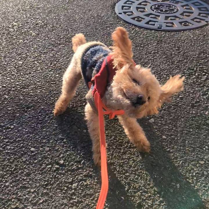 2165bdf6 7288 4a58 914f d757071919d3 1767485041992