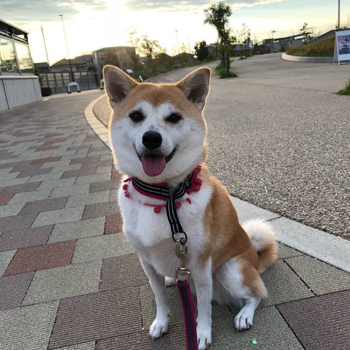 2165d4a6 3c0f 4968 a42e 43622385db36 1537133768180