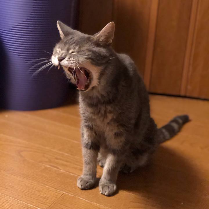 216637c8 858a 4365 90ee 58a5e608e731 1568537721230