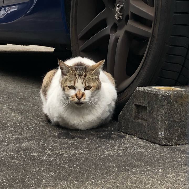 21663b3c a798 49b0 80dc c77e0a67bbfa 1649602487740