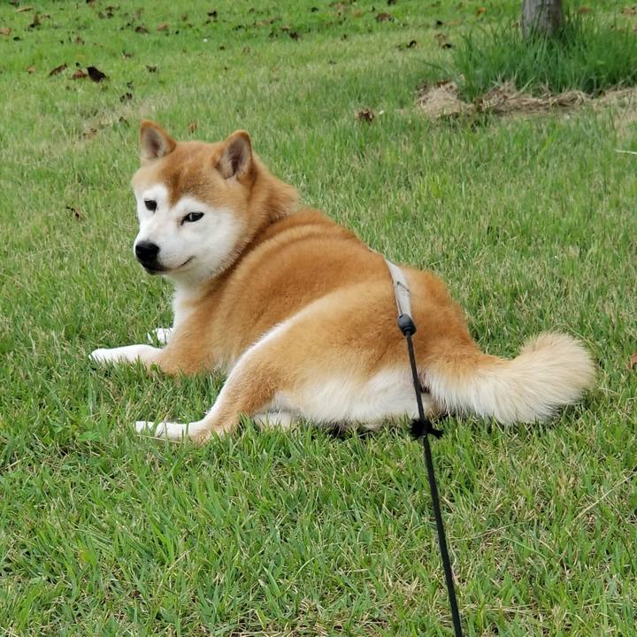 216655c0 145b 4847 a7db 4ff9d68703e0 1629358715152