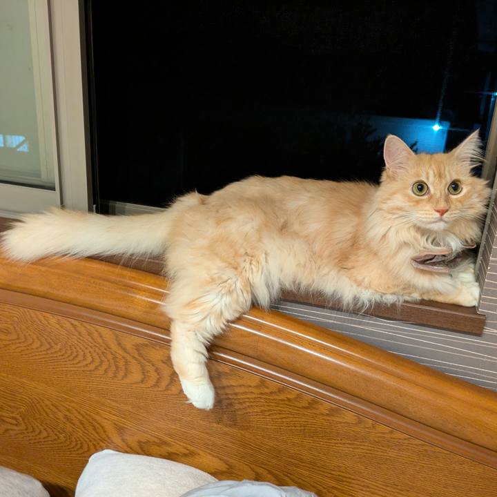 2166629d 6ed8 46ef ae77 6dd1ac1bd538 1725538066541