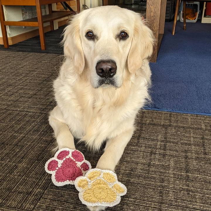 2166ae42 7657 4094 aebf 5b5d0f877a49 1770331301975