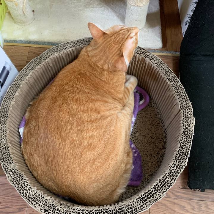 2166bd60 b60a 4d82 9cc1 d48e87ea0caa 1571555552842