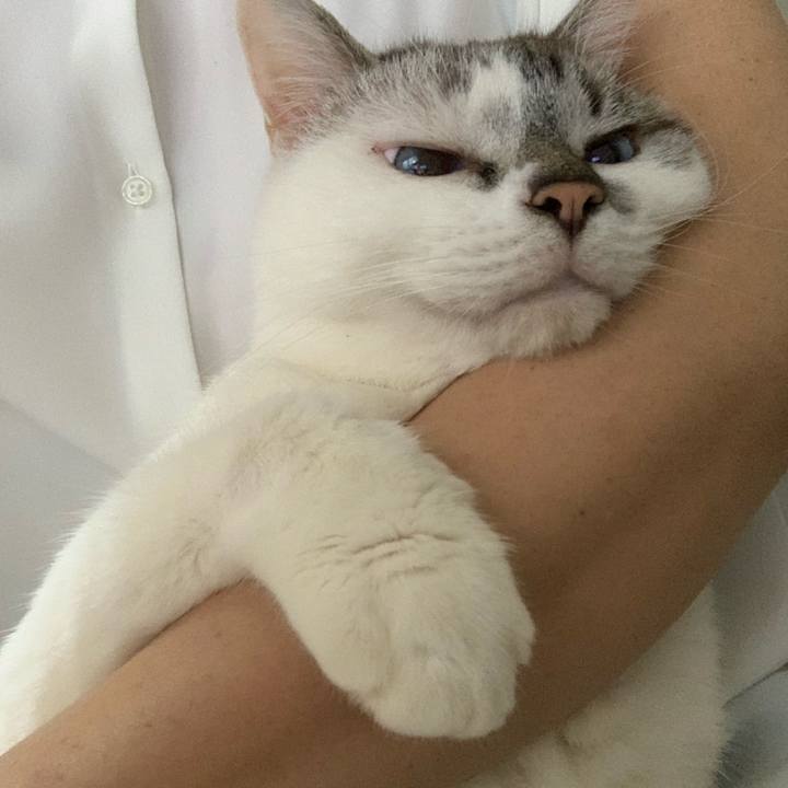 2166d027 55c1 4537 9bf2 1506c8d7e9b3 1630539121817