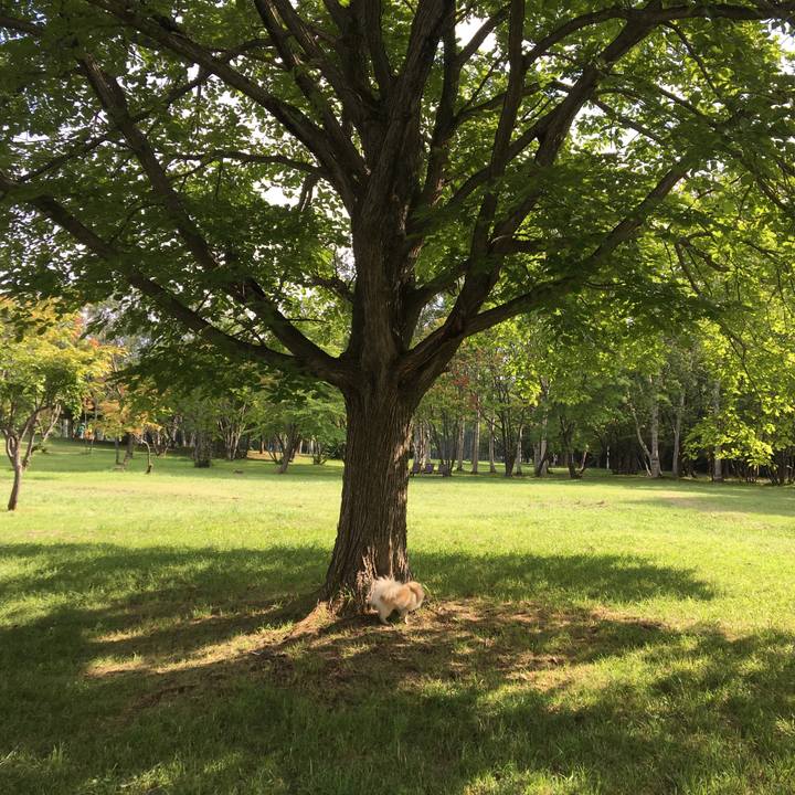 2166d453 2b2f 4df1 ac85 b7bbd46fc1a3 1535530086944