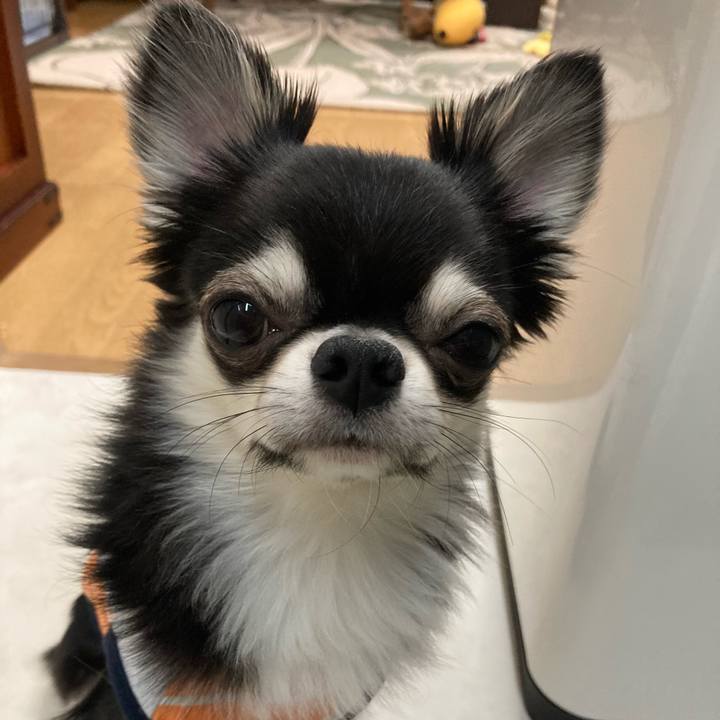 2166d5a3 f167 4382 9733 37e187b5ee3f 1619879995432