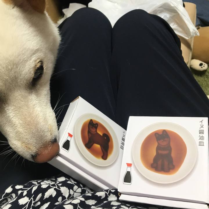 2166e173 544e 425b b58f be2bdcde46b4 1537780439474