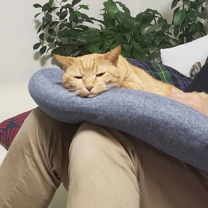 216705d9 34bd 4c80 b9e9 b9f0d677d1ae 1715929095040