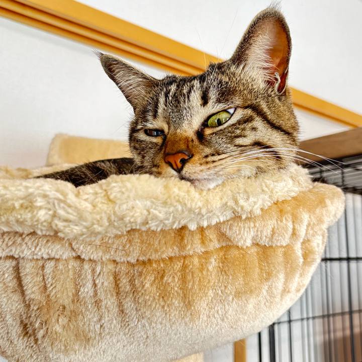 216741b3 13fd 4591 8e89 58d9dbd0d4c2 1768875214345