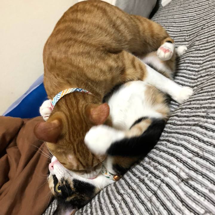 21674ad1 8bc1 4653 9a52 d0abd5261f8d 1570978321905