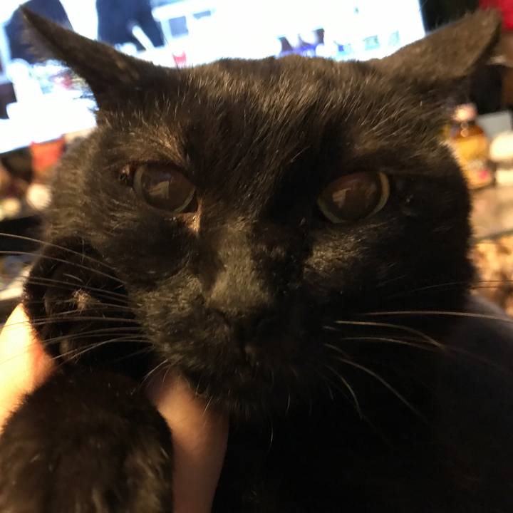 21674e9d 7fb0 4ca4 957c 6b258421651e 1532277861767