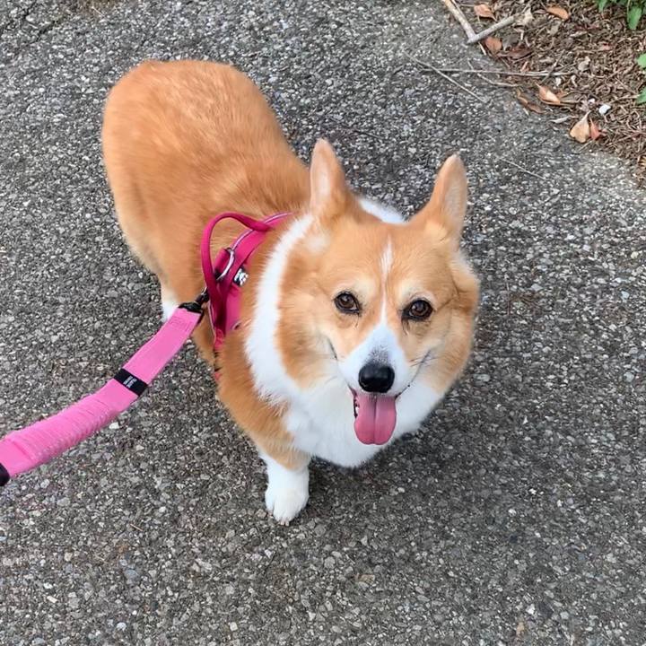 21675d60 efad 4bdd b769 d0afb1f5e97a 1684644513267