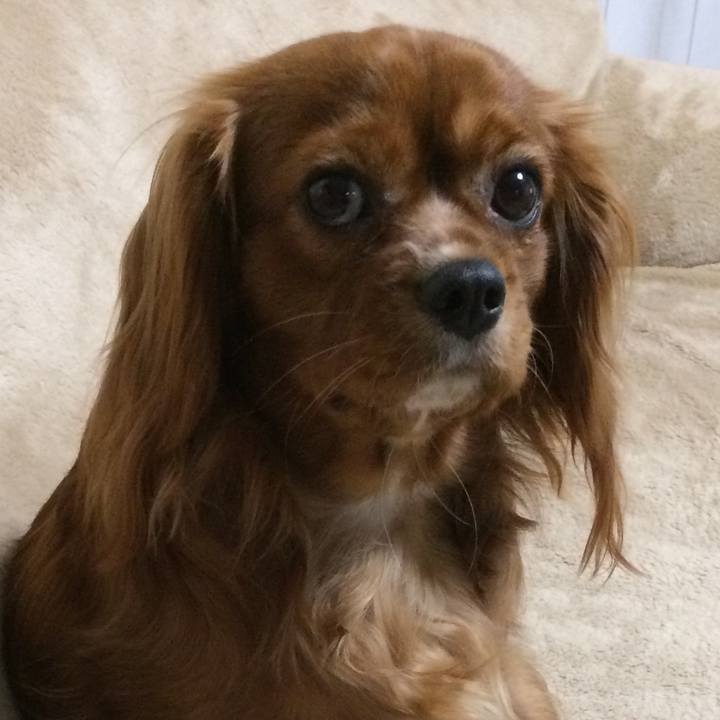 2167badc 5cc3 444e aa76 06930fa2bd29 1518819053934