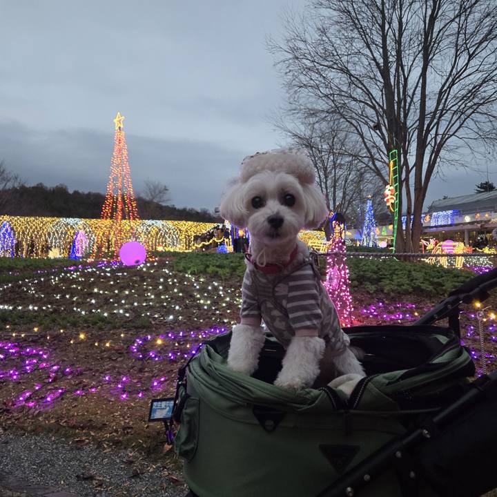 2167bdec acb5 4170 92d8 0c49320cb390 1765679194481