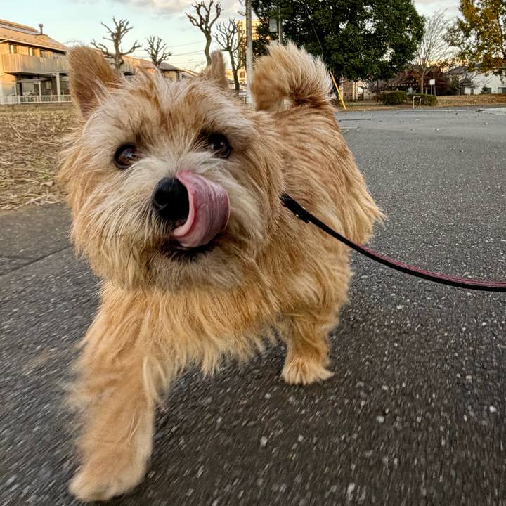 2167c676 f899 4bf6 91c8 19f57c98fa46 1763726845887