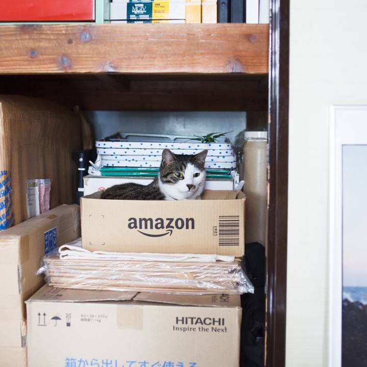 2167ca6e e15d 43ca b10d 4ab6f3791edd 1529733668820