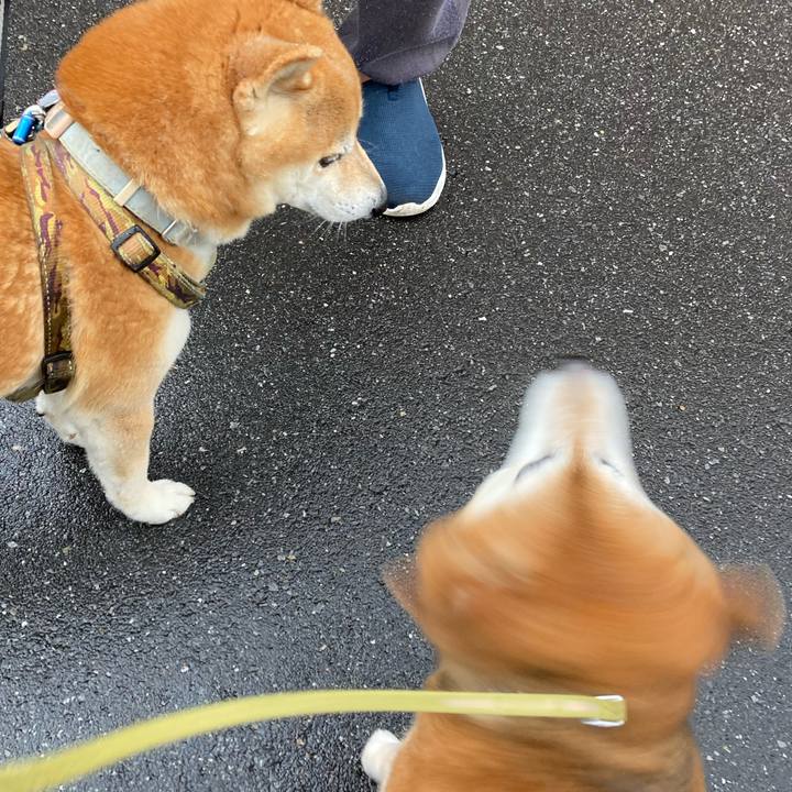 2167d788 f6b2 4016 9eda 1bcfa119222c 1713952482005