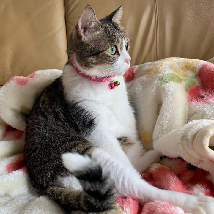 2167ea58 7742 4fee 93ea dfe7c3978d45 1635807230294