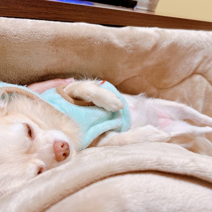 21680a10 e73e 47d2 b5e1 e41ca1125dbc 1669623721264