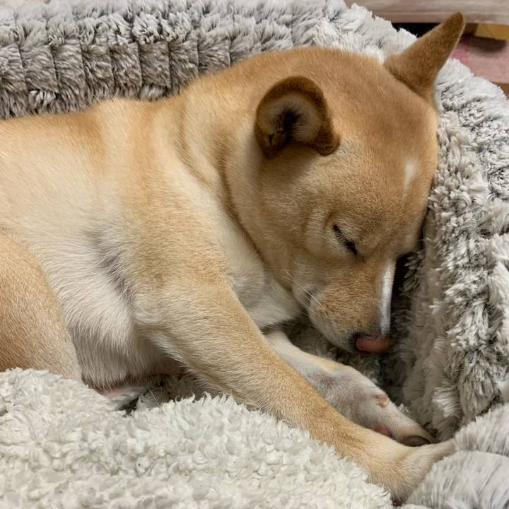 21680b0f bf4f 4fa3 8bae b32ad5bfb2a4 1637496008210