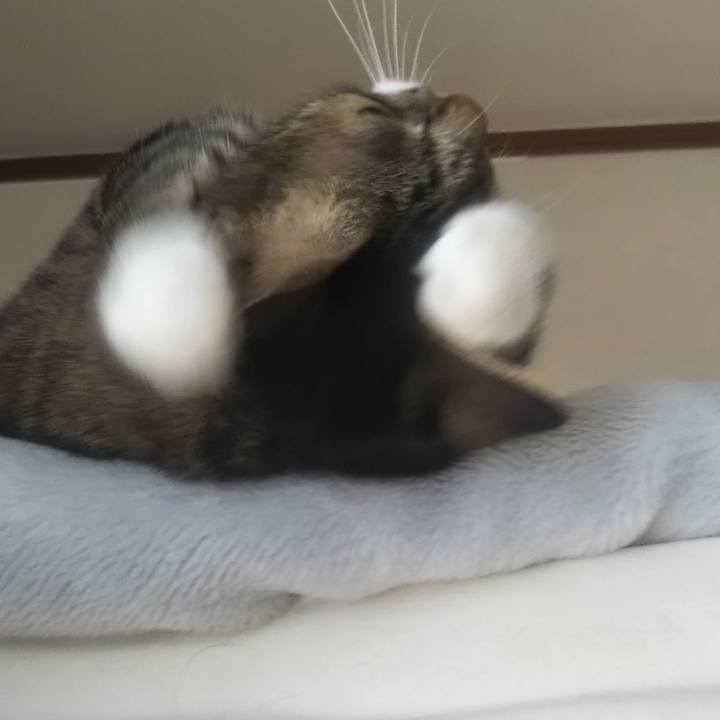 21682553 2fcb 4954 912e e08ebce34b9b 1633663968062