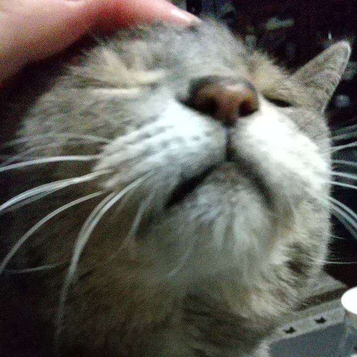 21685765 77b2 47c0 9e58 32f9c0c46ffe 1666903487341