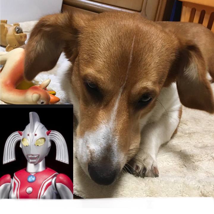 216890d0 613a 4fcd 8e9e b656b1d48673 1617753920471