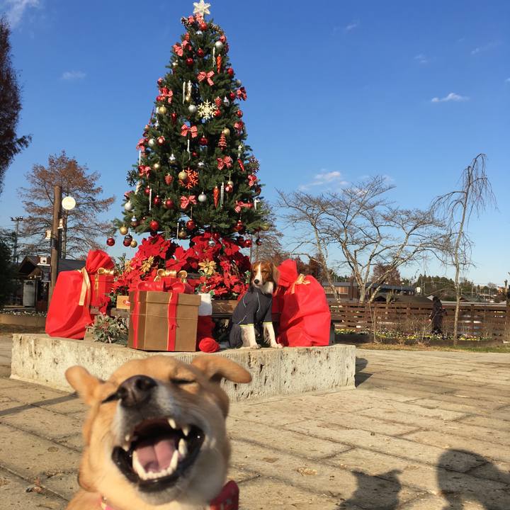 2168a720 3ac9 4765 8507 55302d6b6c7a 1512831468200