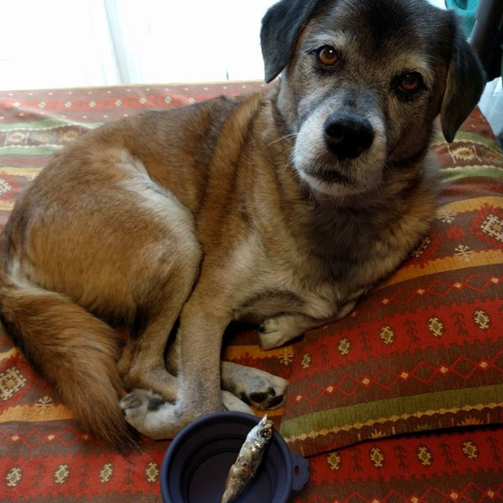 2168c2d2 7fbf 4e0a ab10 042d29ce74c6 1539843481959