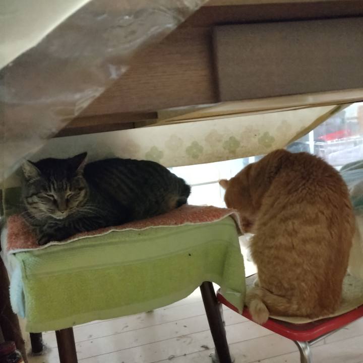 2168caed a138 455c ade4 2bd2cbcfe909 1704617943148