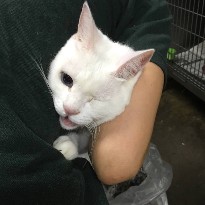 21696977 49b9 4028 993a 99d1d576fa72 1537086959136