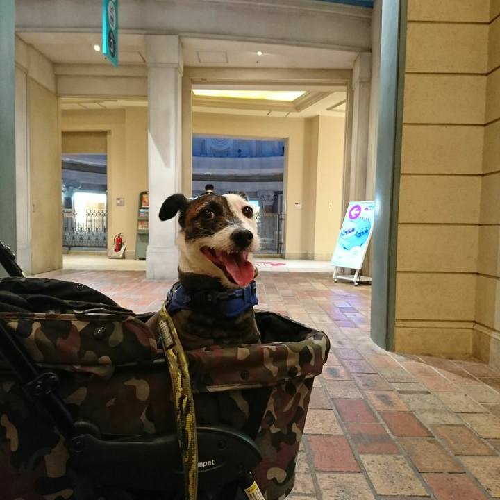 2169d035 ec46 4d90 b4dd 3c2fb47c9149 1514349688053