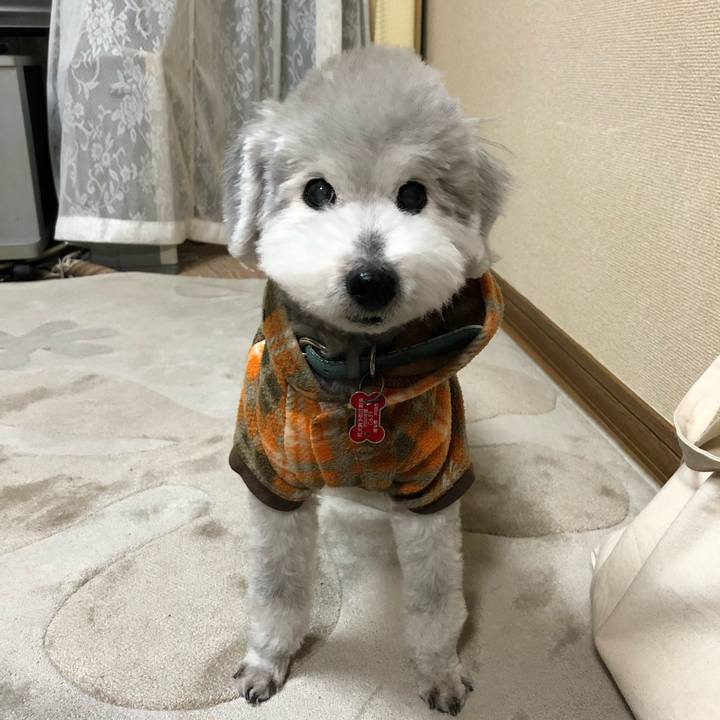 2169e18f 696d 4c80 9f37 29ca1cde1b54 1707263646654