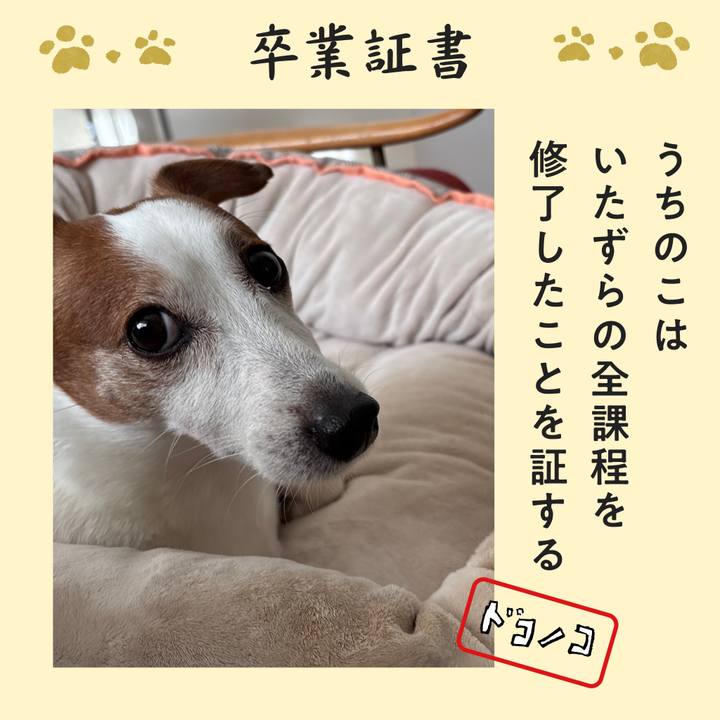 2169f645 9caa 498a a19c 7a2fdc0f4a11 1772151242856