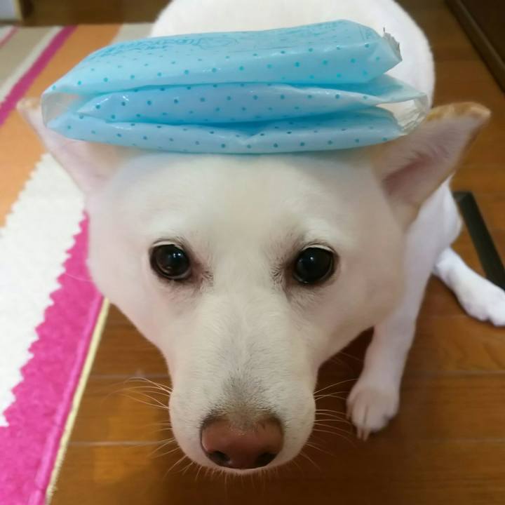 216a12e6 64f7 487f 952d 0e3d0bc3d57b 1564535683402