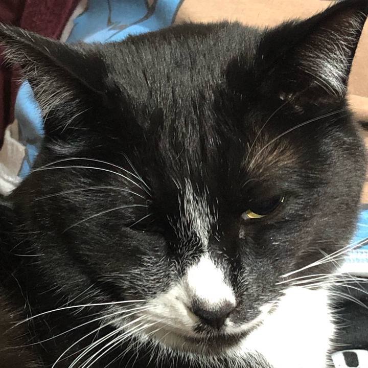 216a2ca9 6eb2 49bd b8f8 c3d1819cfaf0 1620443984976