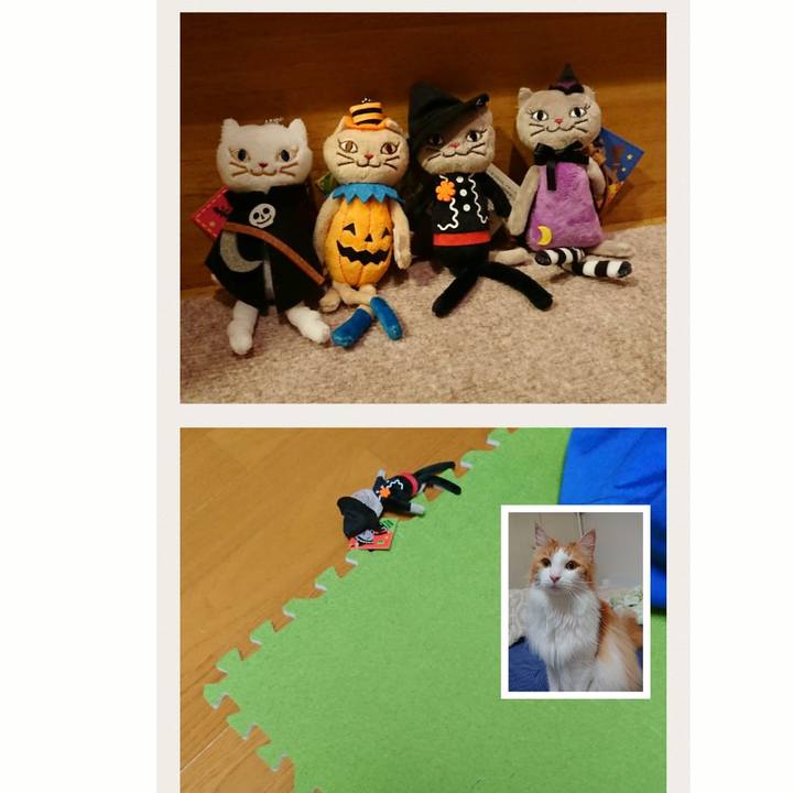 216a3027 2fce 468f 8409 ad62a0d93ed1 1536114566723