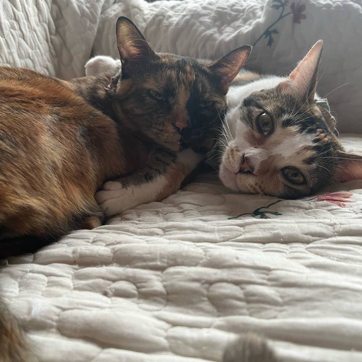 216ae522 d793 4644 b459 aa6d75fa1a26 1655846272345