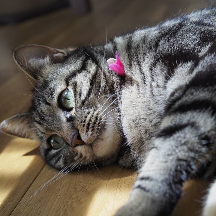 216aeaa8 d3f0 4d61 a8b5 0dd7beb95acd 1620224372705