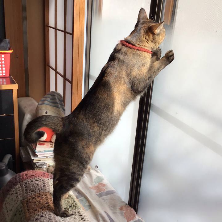 216b17c7 24ab 4086 9148 d3e4badade20 1644645200652