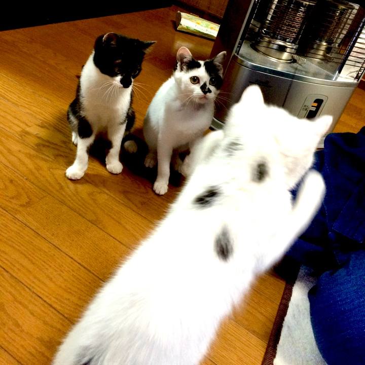 216b4248 8df6 4f52 bb3f 401d19584c74 1629500901943