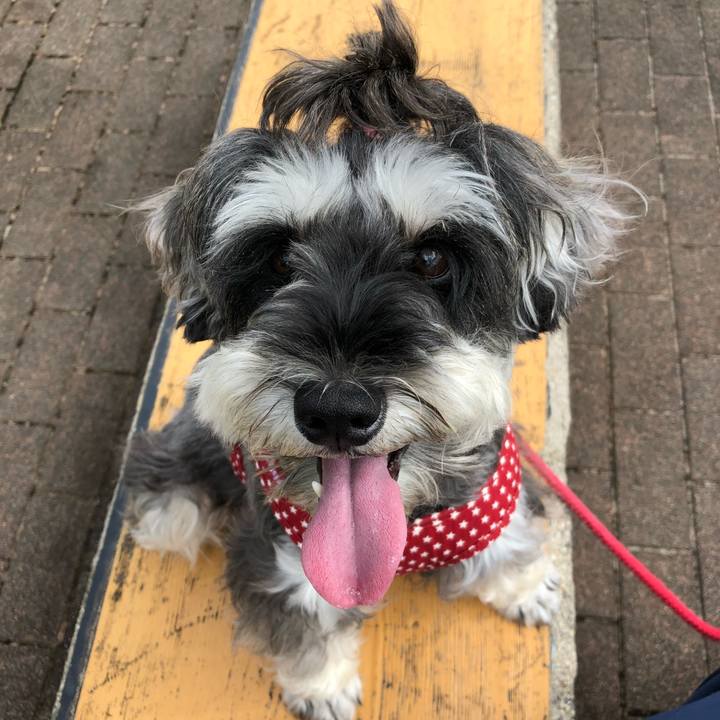 216b6c66 1666 431e af87 e0a47e1a1dbb 1537597283384