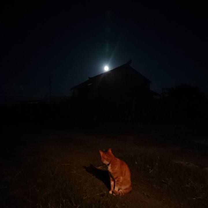 216b73fb cb96 4e9f a726 071d816e345e 1568369116734